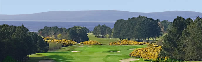 Galway Golf Clubs.