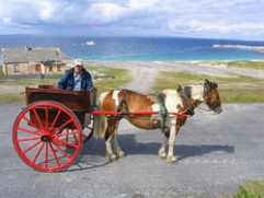 Aran Island pony and trap