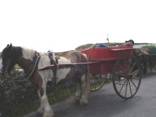 Pony and Trap Aran Islands.